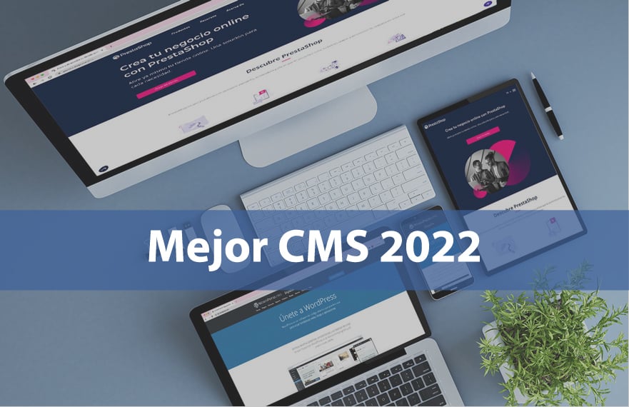 CMS-2022