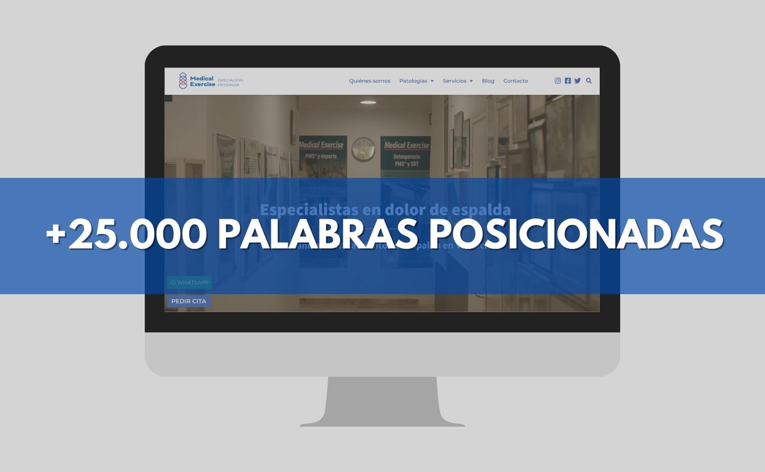 IDITAL SEO Medical